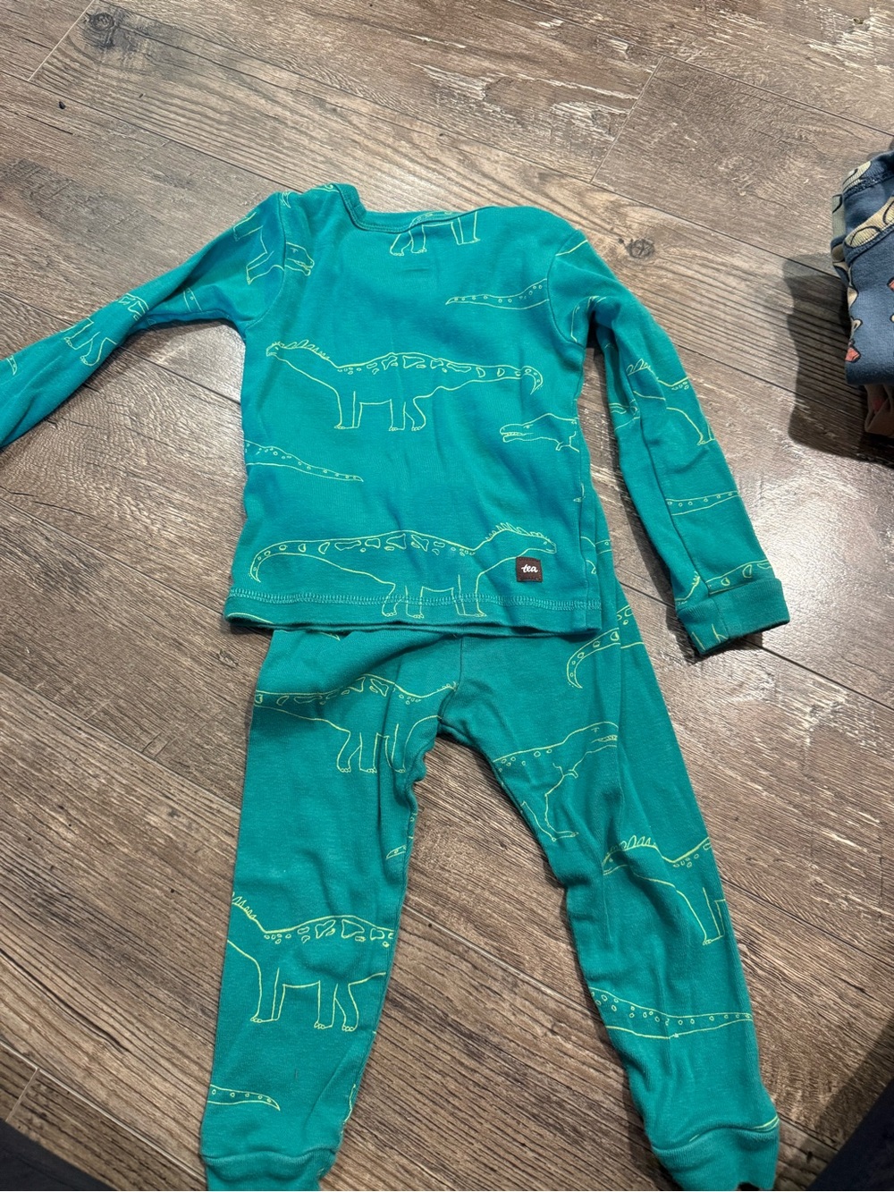 Tea Collection Teal Dinosaur Pajama Set